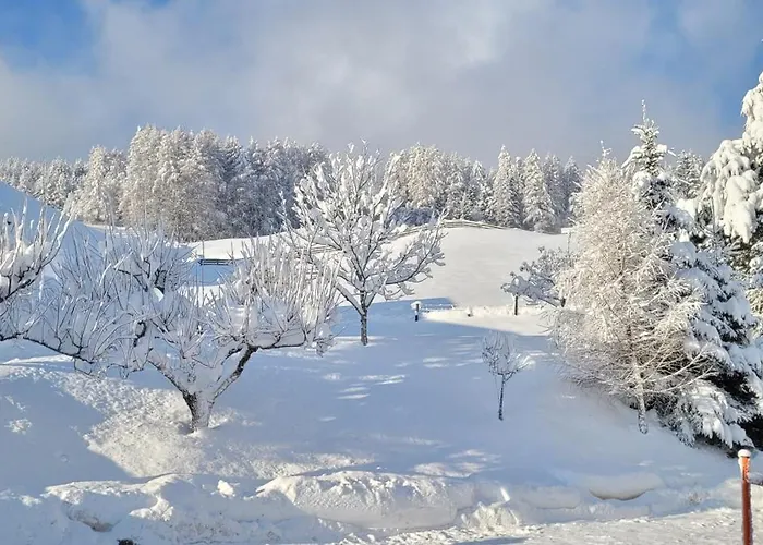 Ferienhaus Panorama